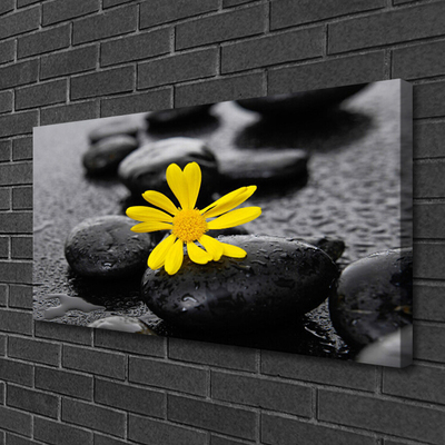 Photo sur toile Pierres fleurs art jaune noir