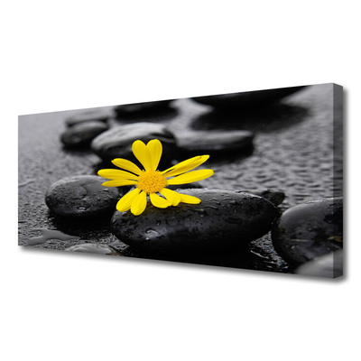 Photo sur toile Pierres fleurs art jaune noir