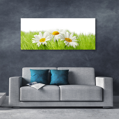 Photo sur toile Marguerite herbe floral blanc vert