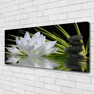 Photo sur toile Fleur eau pierre floral blanc noir