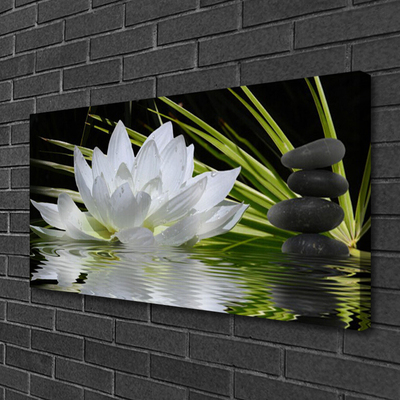 Photo sur toile Fleur eau pierre floral blanc noir