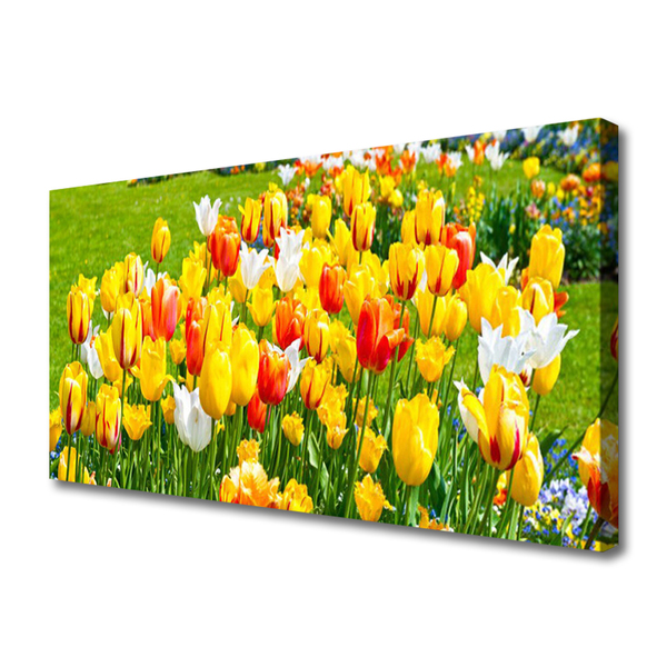 Photo sur toile Tulipes floral jaune rouge blanc