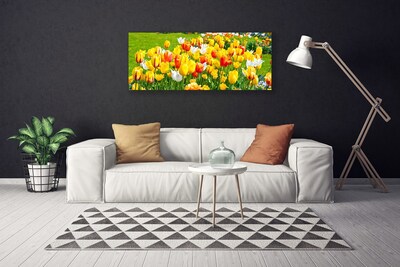 Photo sur toile Tulipes floral jaune rouge blanc