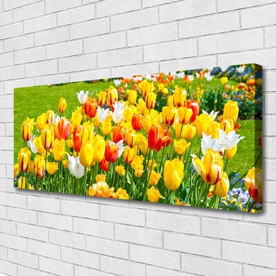 Photo sur toile Tulipes floral jaune rouge blanc