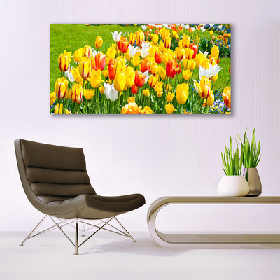 Photo sur toile Tulipes floral jaune rouge blanc