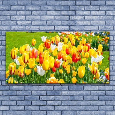 Photo sur toile Tulipes floral jaune rouge blanc