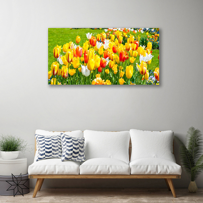 Photo sur toile Tulipes floral jaune rouge blanc