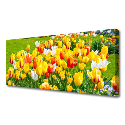 Photo sur toile Tulipes floral jaune rouge blanc