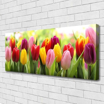 Photo sur toile Tulipes floral rose rouge jaune