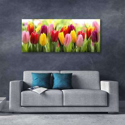 Photo sur toile Tulipes floral rose rouge jaune