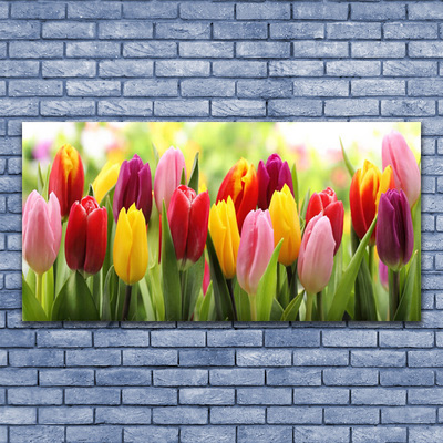 Photo sur toile Tulipes floral rose rouge jaune