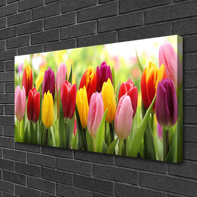 Photo sur toile Tulipes floral rose rouge jaune