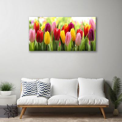 Photo sur toile Tulipes floral rose rouge jaune