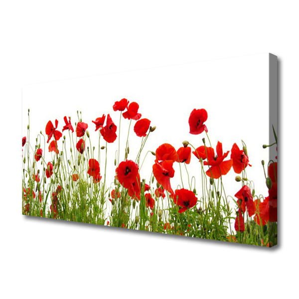 Photo sur toile Coquelicots floral rouge vert