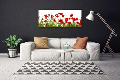 Photo sur toile Coquelicots floral rouge vert