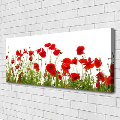 Photo sur toile Coquelicots floral rouge vert