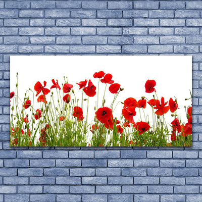 Photo sur toile Coquelicots floral rouge vert