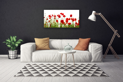 Photo sur toile Coquelicots floral rouge vert