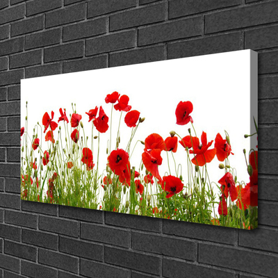 Photo sur toile Coquelicots floral rouge vert