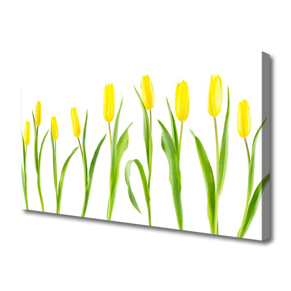 Photo sur toile Tulipes floral jaune vert