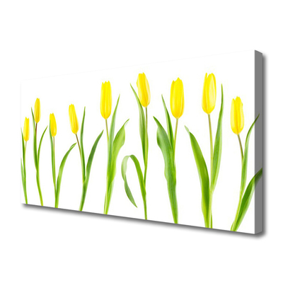 Photo sur toile Tulipes floral jaune vert