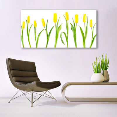 Photo sur toile Tulipes floral jaune vert