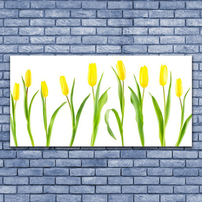 Photo sur toile Tulipes floral jaune vert