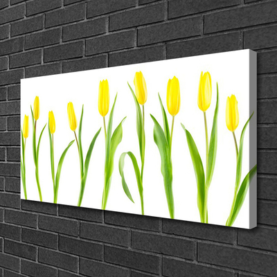 Photo sur toile Tulipes floral jaune vert