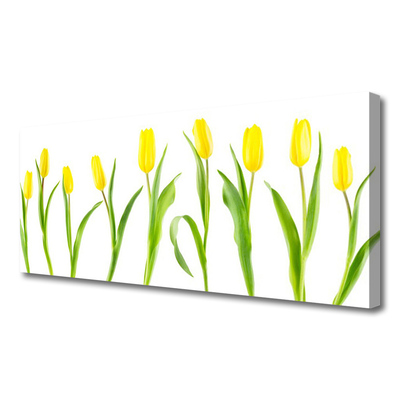 Photo sur toile Tulipes floral jaune vert