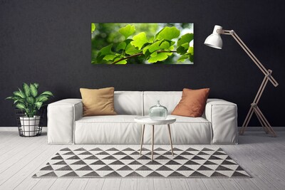 Photo sur toile Feuilles branche floral brun vert