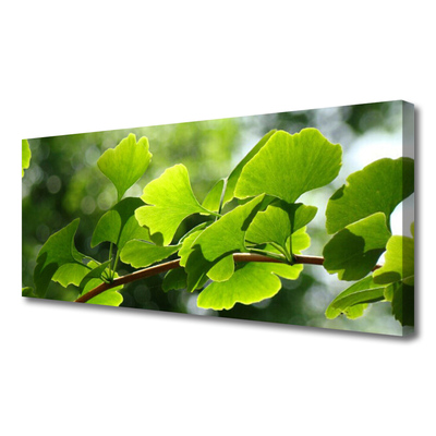 Photo sur toile Feuilles branche floral brun vert