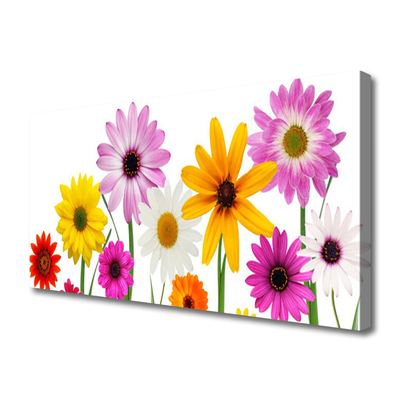 Photo sur toile Fleurs floral multicolore