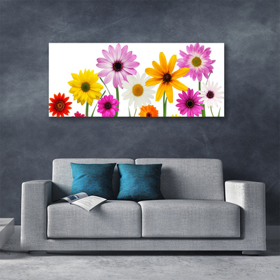 Photo sur toile Fleurs floral multicolore