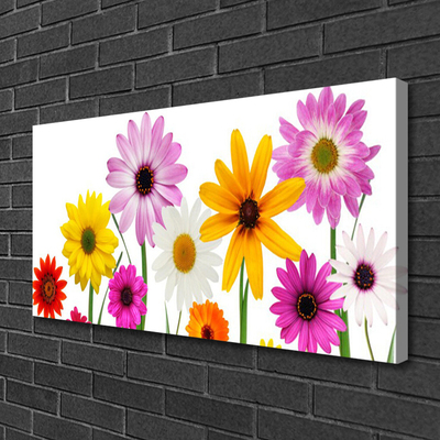 Photo sur toile Fleurs floral multicolore