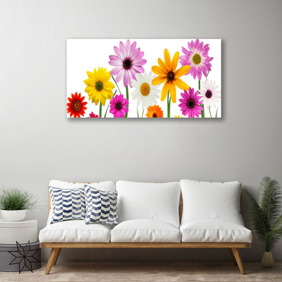 Photo sur toile Fleurs floral multicolore