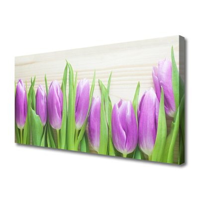 Photo sur toile Tulipes floral rose vert