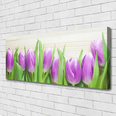 Photo sur toile Tulipes floral rose vert