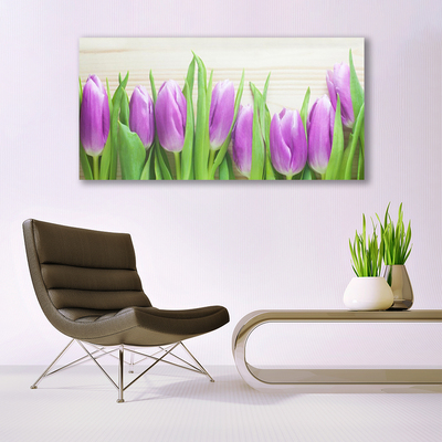 Photo sur toile Tulipes floral rose vert