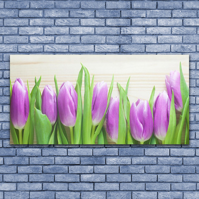 Photo sur toile Tulipes floral rose vert