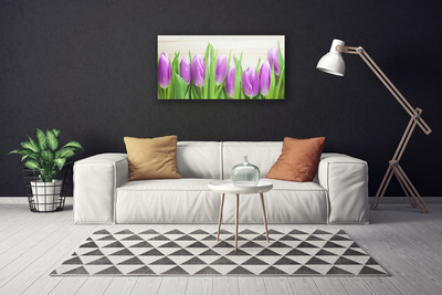 Photo sur toile Tulipes floral rose vert