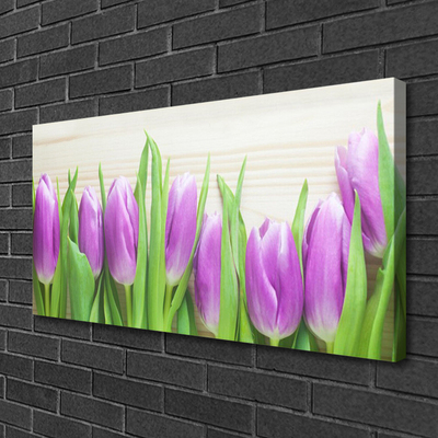 Photo sur toile Tulipes floral rose vert