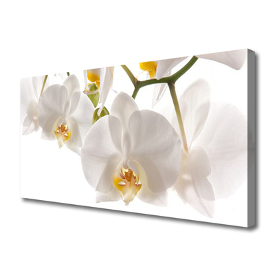 Photo sur toile Fleurs floral blanc