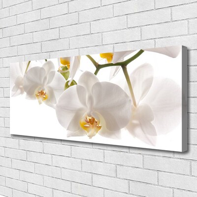 Photo sur toile Fleurs floral blanc