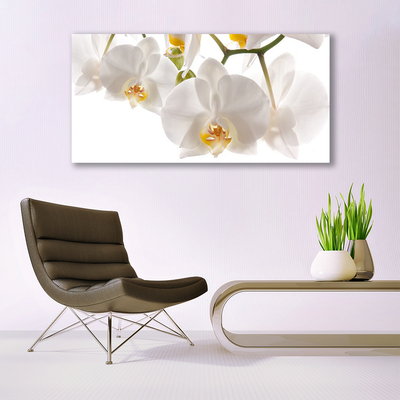 Photo sur toile Fleurs floral blanc