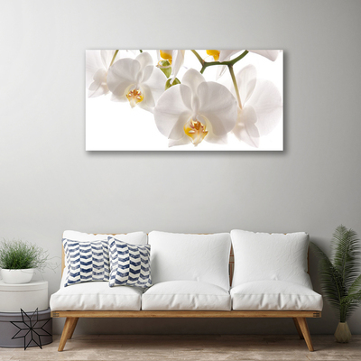 Photo sur toile Fleurs floral blanc