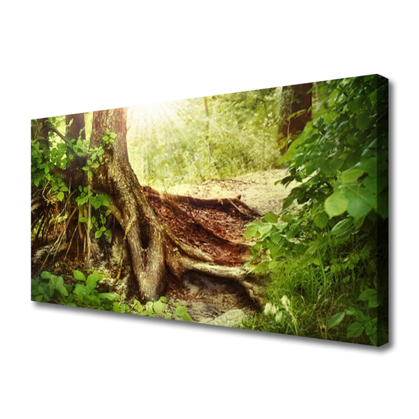 Photo sur toile Tronc d'arbre nature brun vert