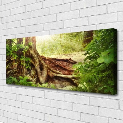 Photo sur toile Tronc d'arbre nature brun vert