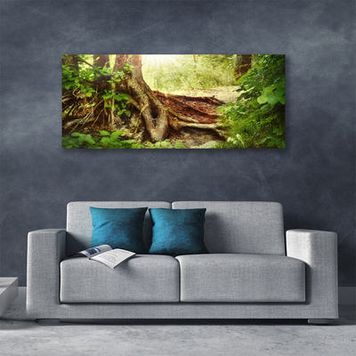 Photo sur toile Tronc d'arbre nature brun vert