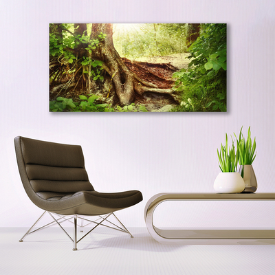 Photo sur toile Tronc d'arbre nature brun vert