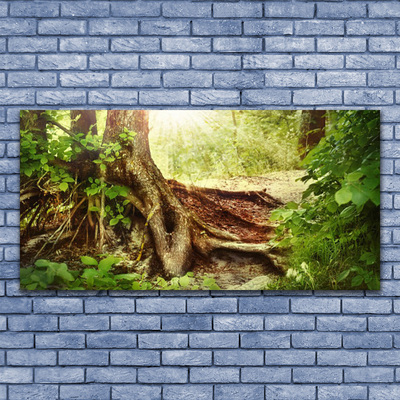 Photo sur toile Tronc d'arbre nature brun vert